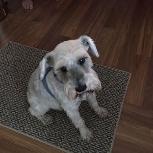 Meet your Posher, Brenda